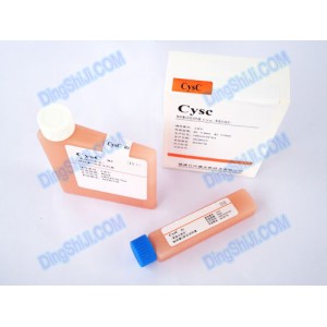 胱抑素C测定试剂盒（免疫比浊）